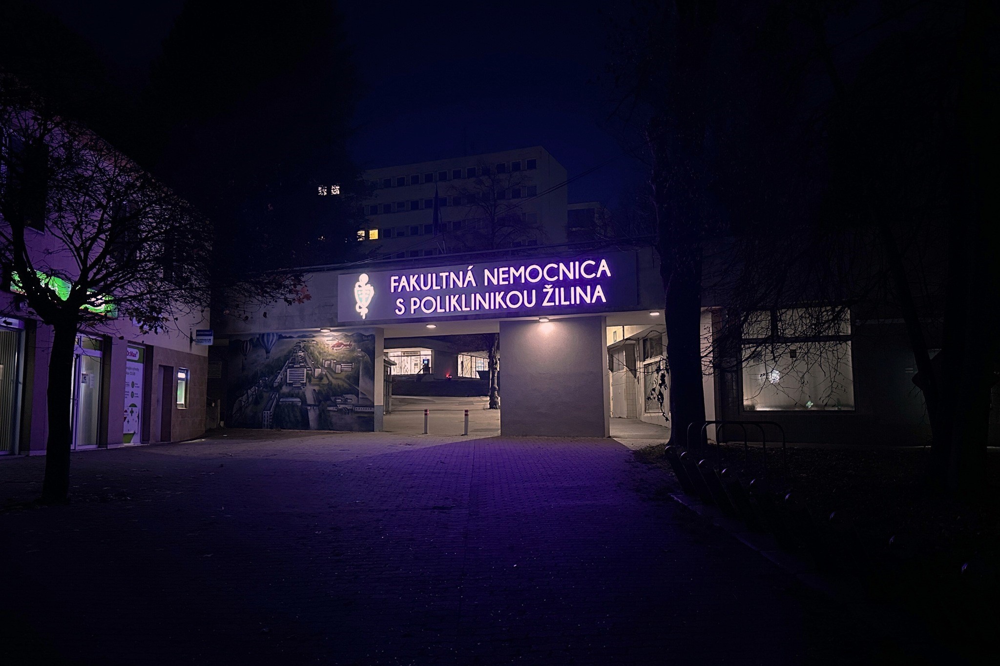 FNsP ZA Vstup do žilinskej nemocnice svieti na purpurovo
